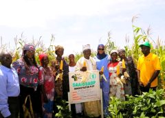Gomnatin Lakei Ma Billiri Sugku Beleng Wutho Ma Sassakawa Ki Ta Berman Gombe